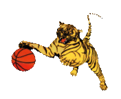 Logo des BV Eisenach Tigers e.V.